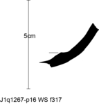 W22d0425 J1q1267-p16 T930 kF cv f317.jpg